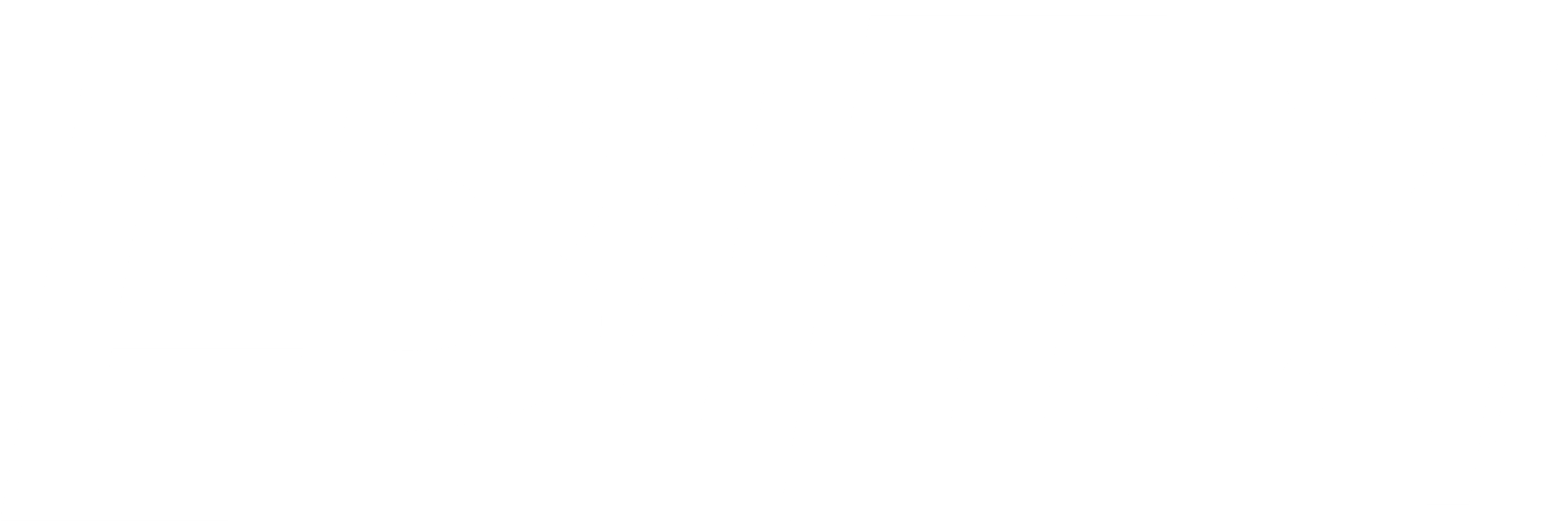 EBI Texas White Logo
